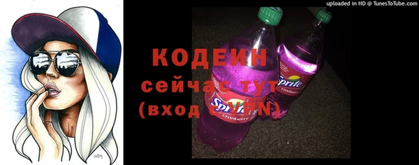 шишки Белокуриха