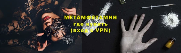 шишки Белокуриха