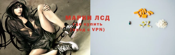 шишки Белокуриха