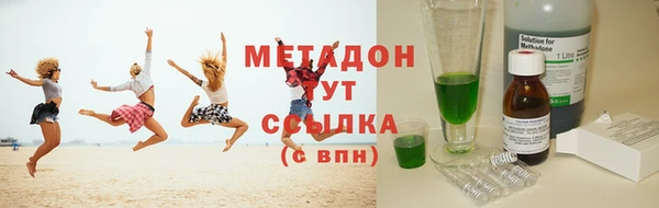 шишки Белокуриха