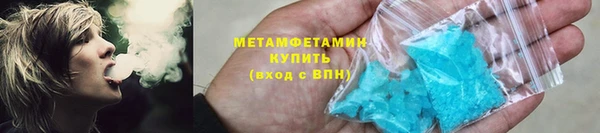 шишки Белокуриха