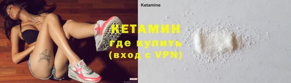 шишки Белокуриха