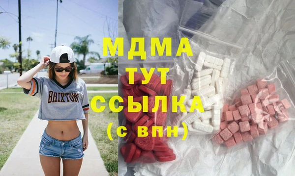 шишки Белокуриха