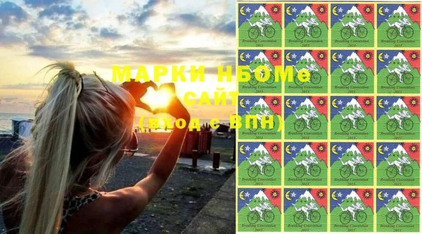 шишки Белокуриха