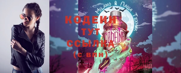 шишки Белокуриха